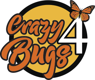 Crazy 4 Bugs